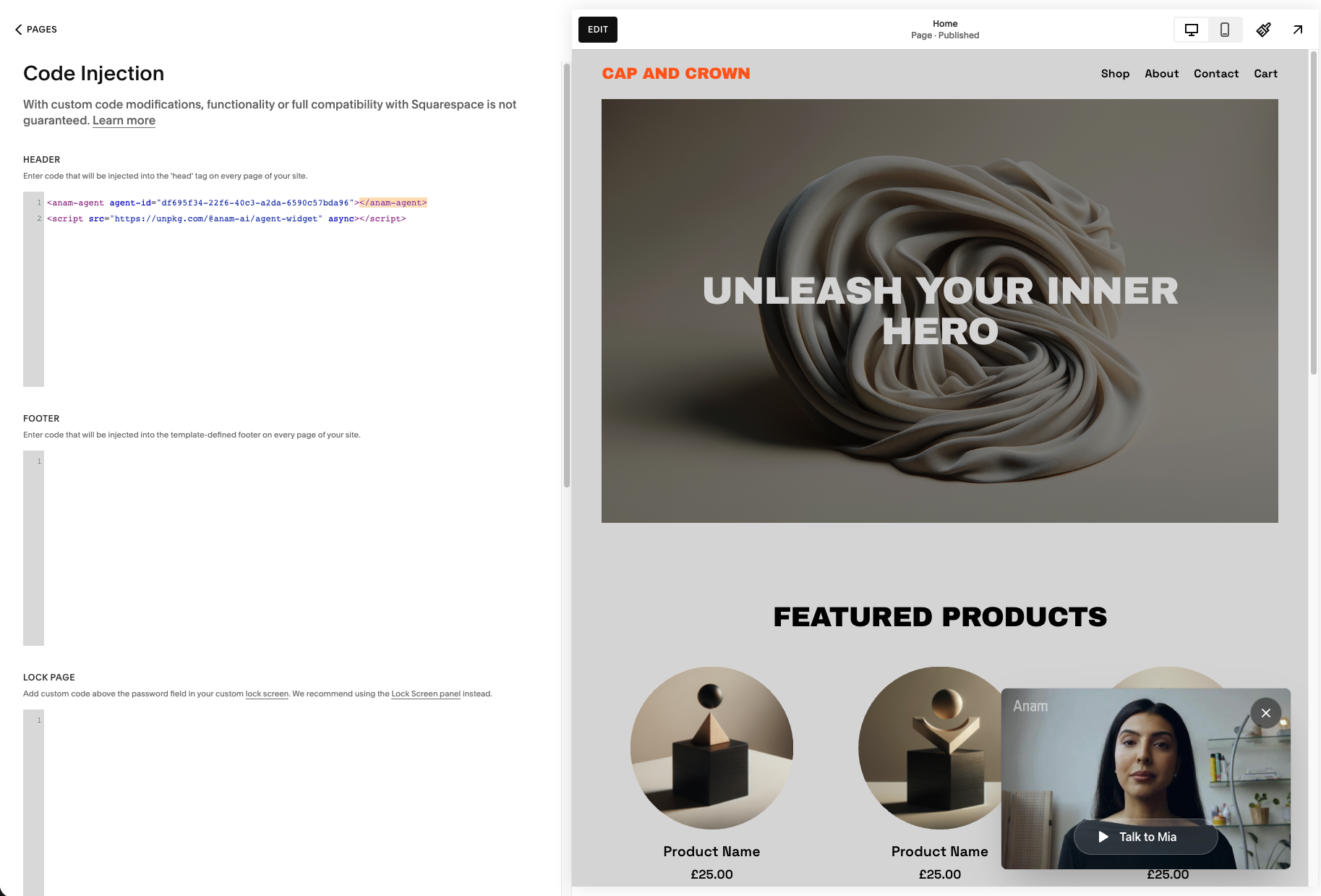 Code injection panel with the Anam widget snippet pasted into the Header field