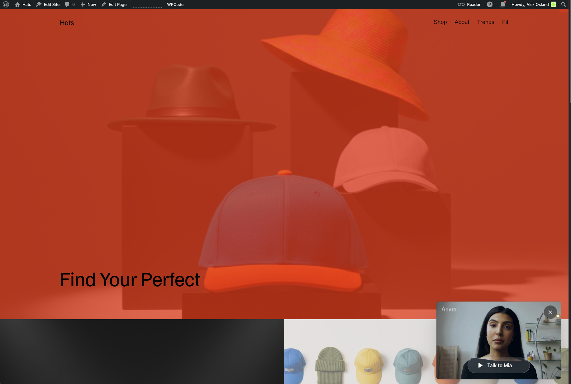 Live WordPress site showing the Anam widget